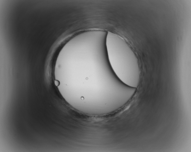 X0000099520343200805151037