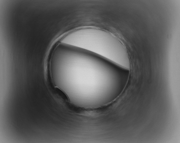 X0000099520344200805151037