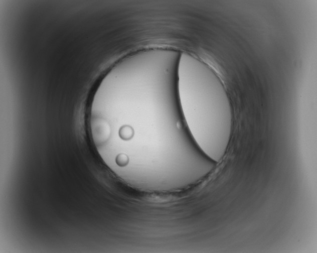 X0000099520346200805151037