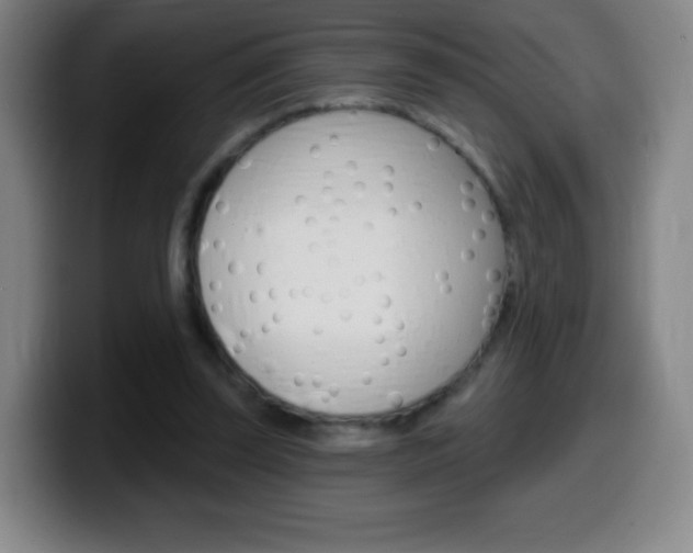 X0000099520347200805151037