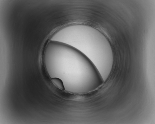 X0000099520348200805151037