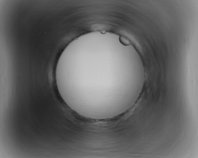 X0000099520353200805151037
