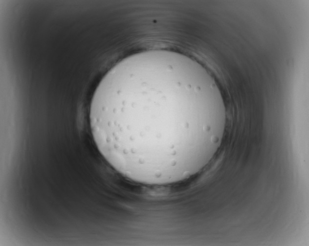 X0000099520359200805151037