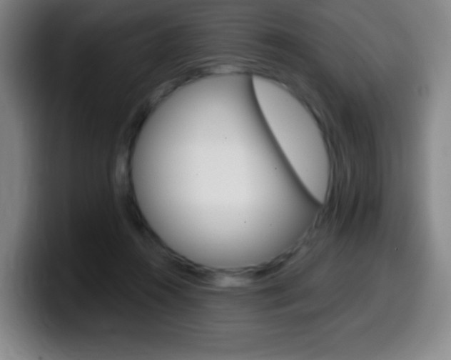 X0000099520360200805151037