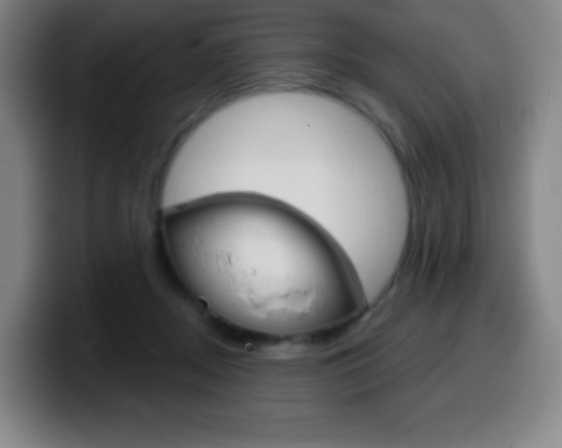 X0000099520362200805151037
