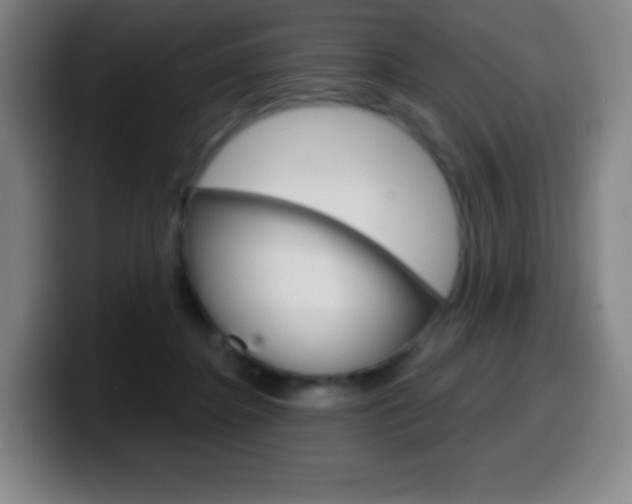 X0000099520364200805151037