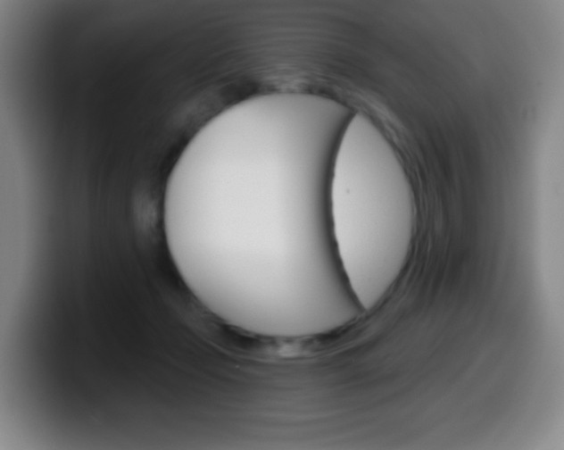 X0000099520365200805151037