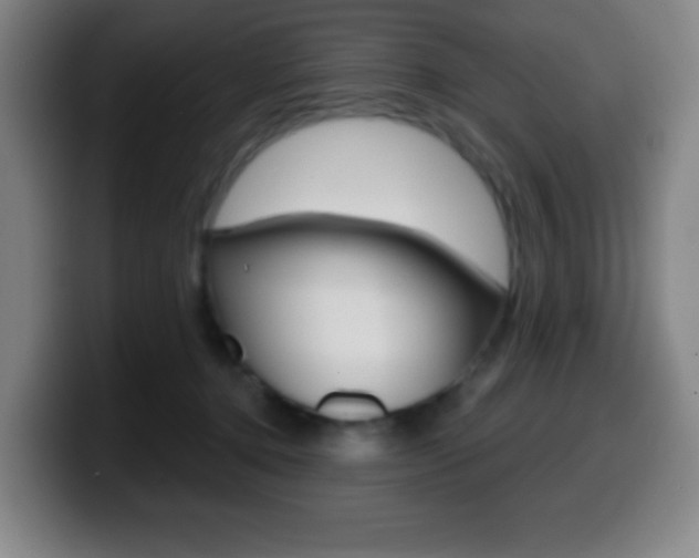 X0000099520368200805151037