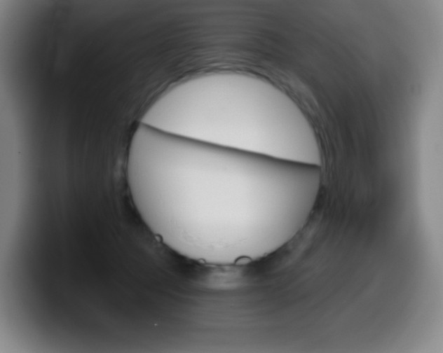 X0000099520369200805151037
