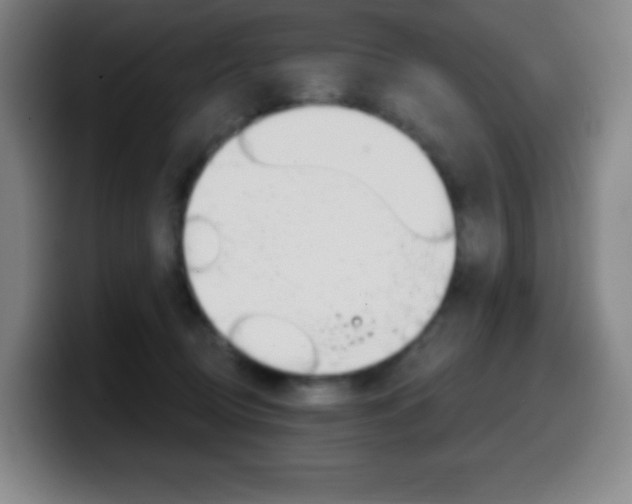 X0000099520370200805151037