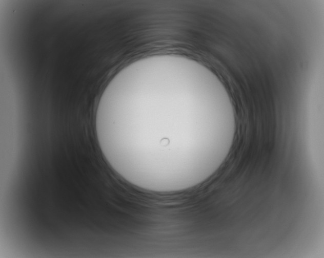 X0000099520372200805151037