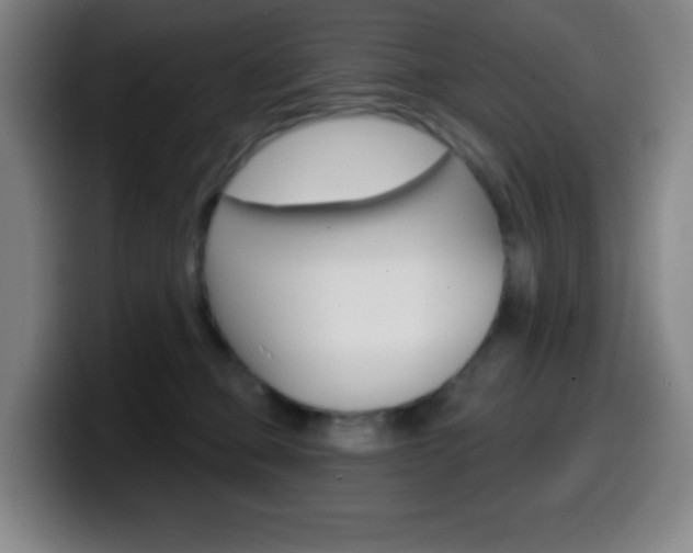 X0000099520373200805151037