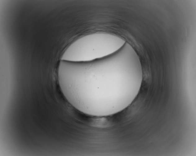 X0000099520374200805151037