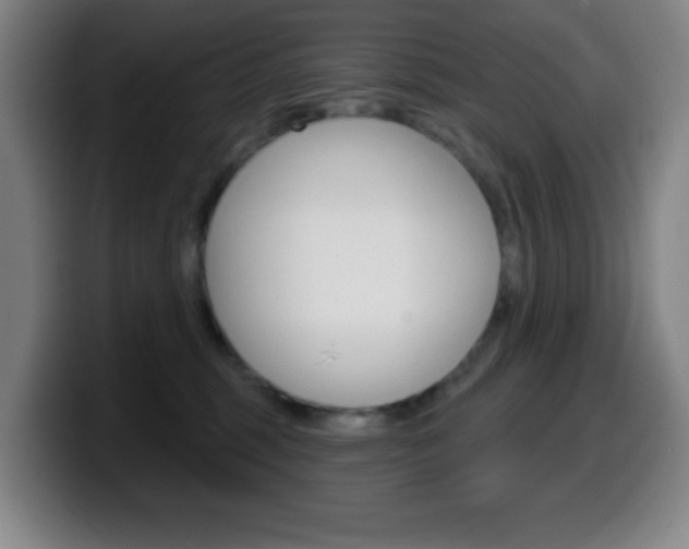 X0000099520375200805151037