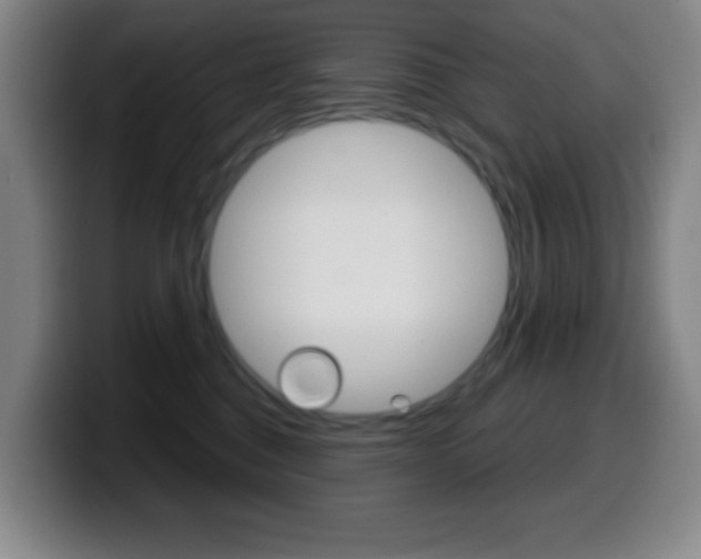 X0000099520376200805151037