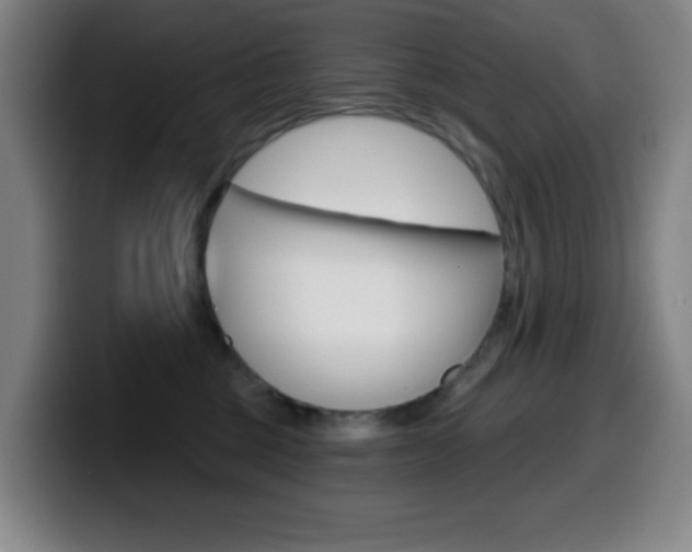 X0000099520377200805151037