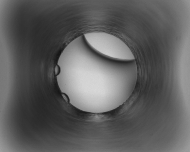 X0000099520379200805151037