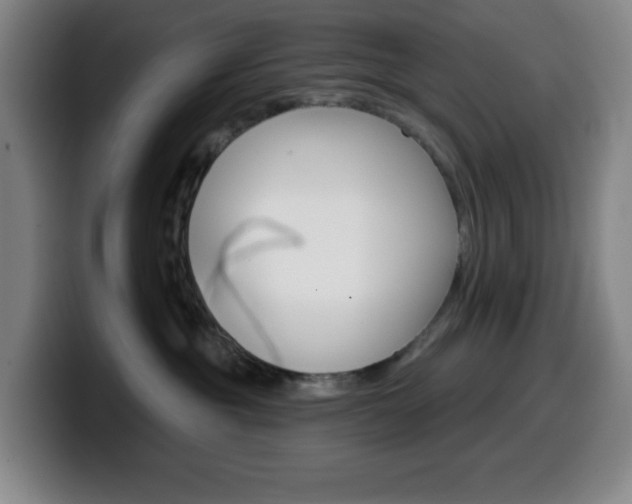 X0000099520381200805151037