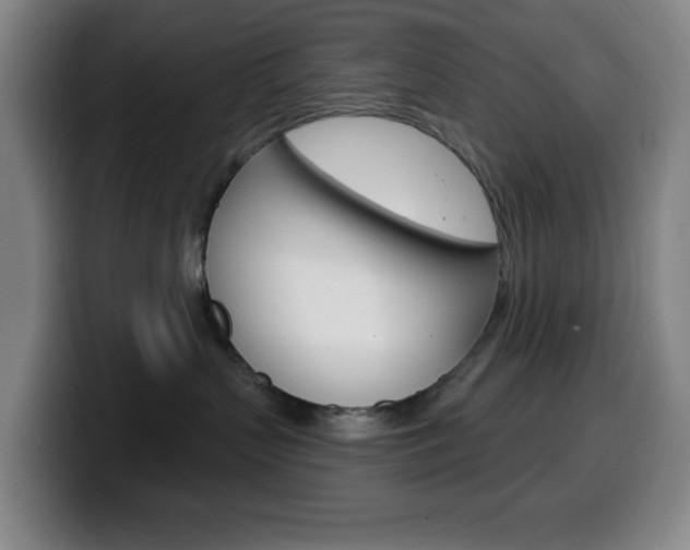 X0000099520383200805151037