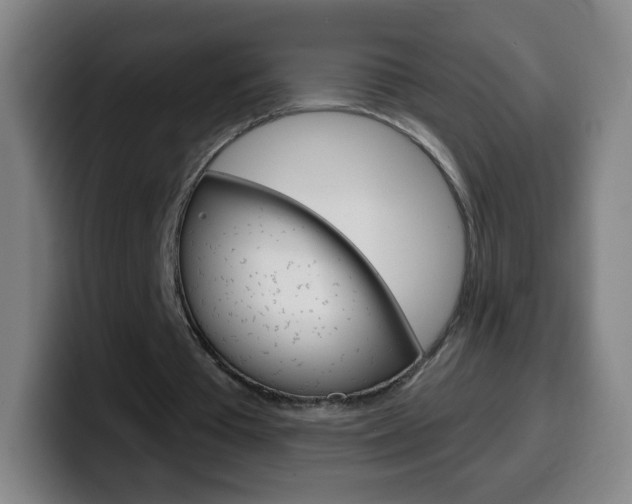 X0000099520385200805151037