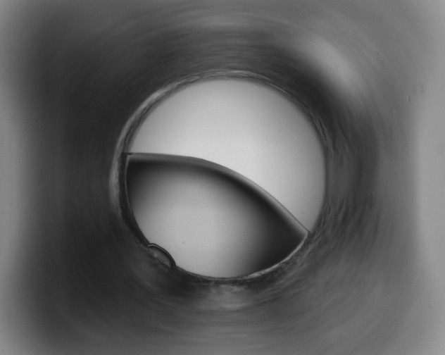 X0000099520387200805151037