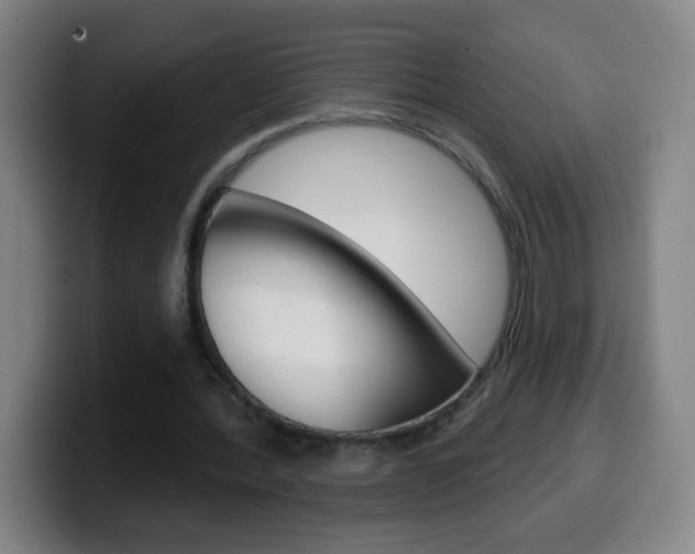 X0000099520388200805151037