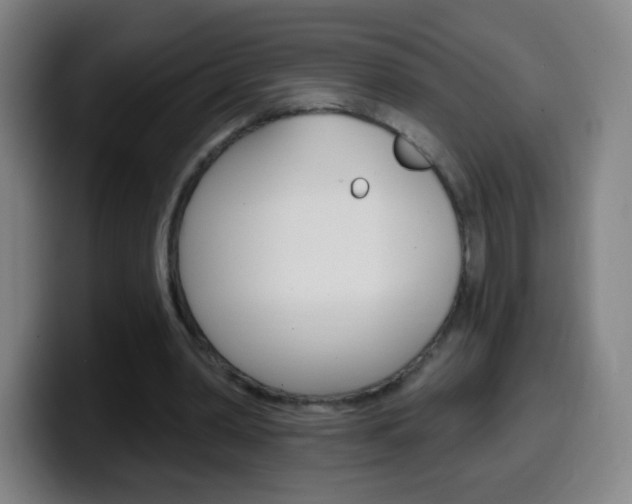 X0000099520390200805151037