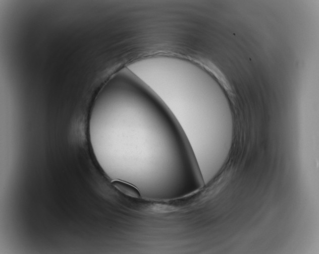 X0000099520393200805151037