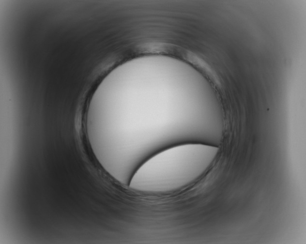 X0000099520394200805151037