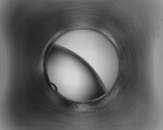X0000099520395200805151037