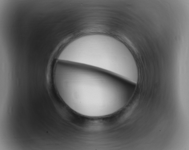 X0000099520396200805151037