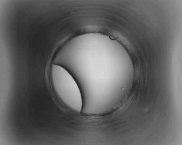 X0000099520398200805151037