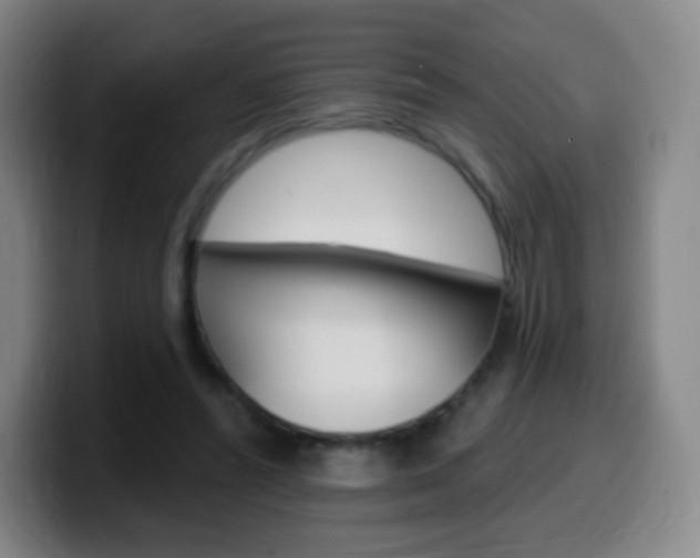 X0000099520400200805151037