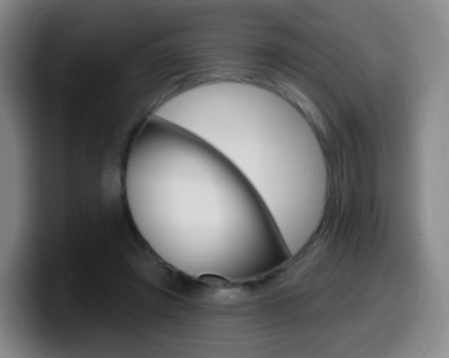 X0000099520401200805151037