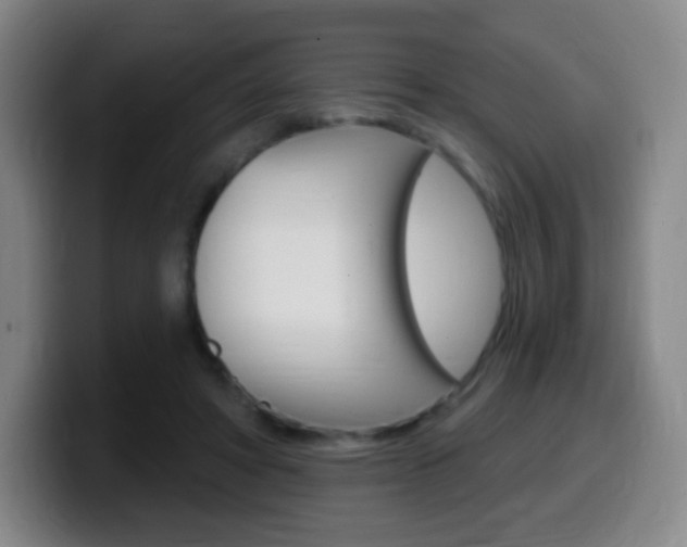 X0000099520402200805151037