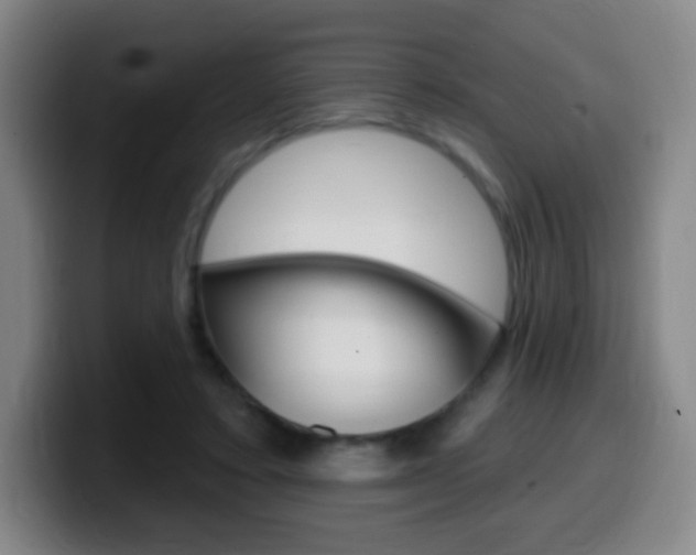 X0000099520403200805151037