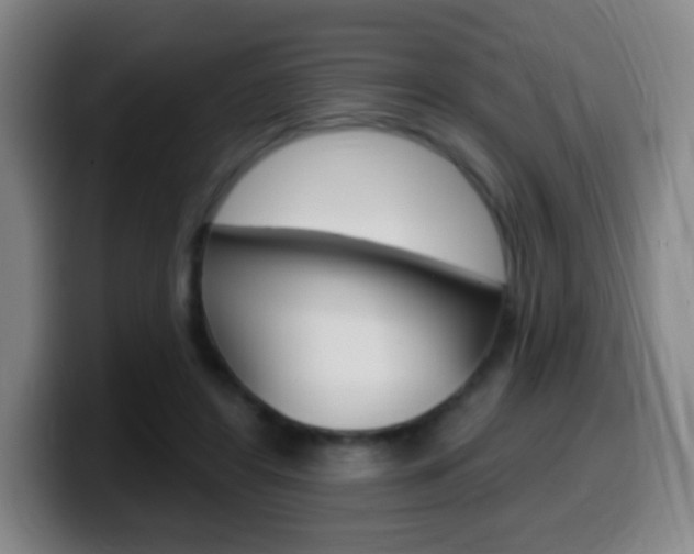 X0000099520404200805151037