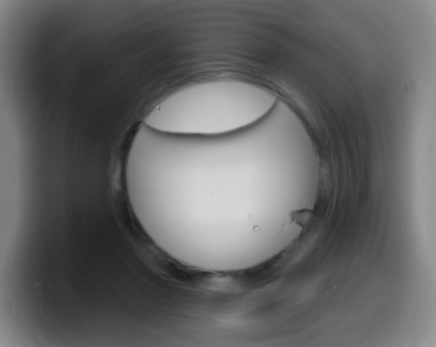 X0000099520406200805151037