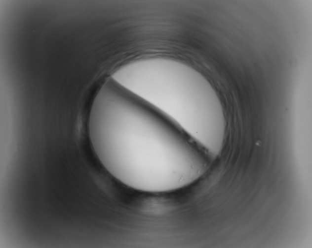 X0000099520408200805151037