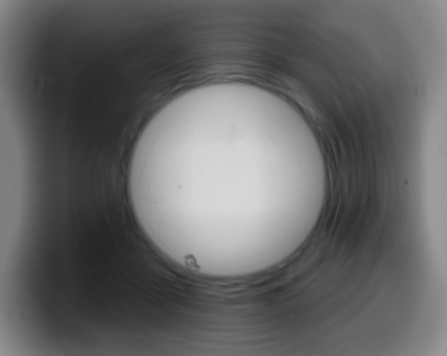 X0000099520411200805151036