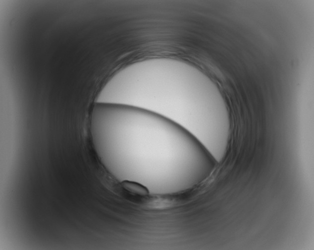 X0000099520413200805151036