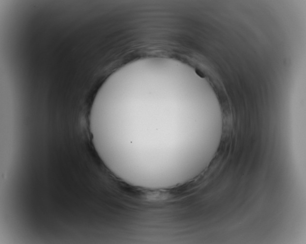 X0000099520415200805151036