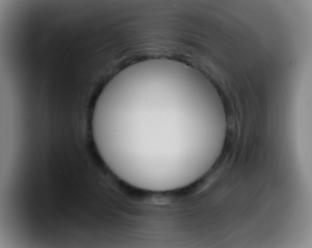 X0000099520416200805151036