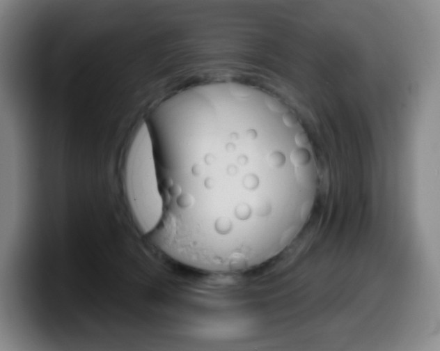 X0000099520418200805151036
