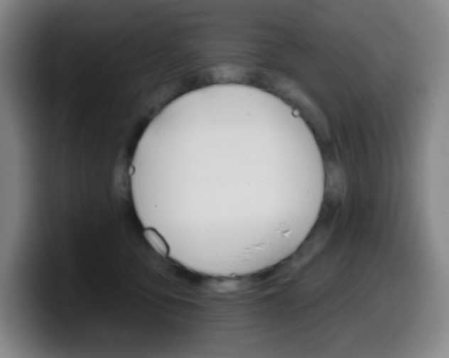 X0000099520419200805151036