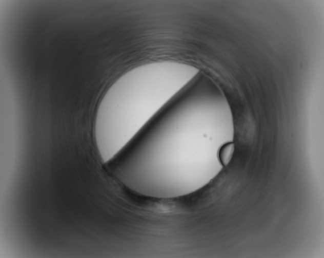 X0000099520420200805151036