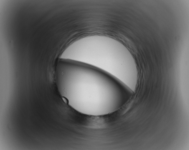 X0000099520421200805151036