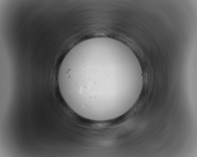 X0000099520422200805151036
