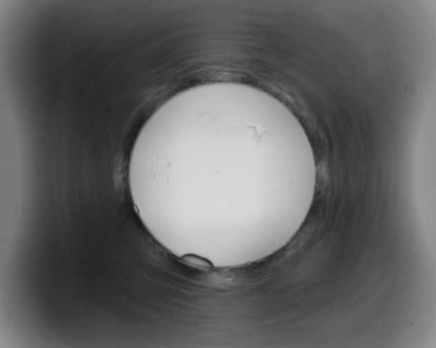 X0000099520423200805151036