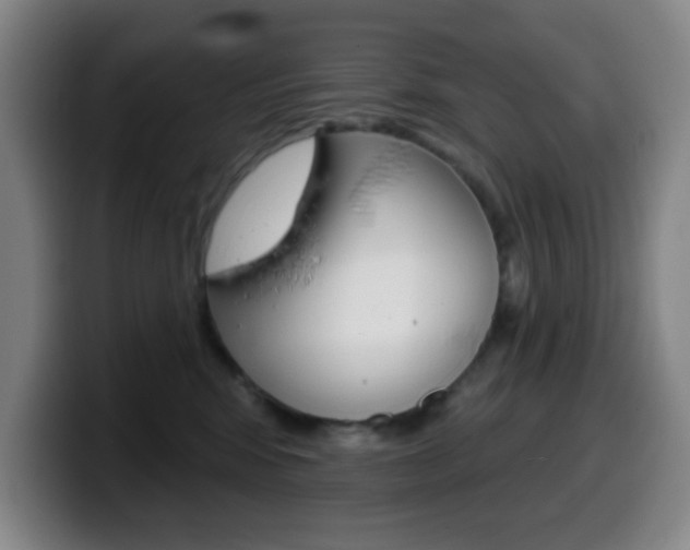 X0000099520424200805151036